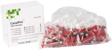 CanalPro™ Color Syringes 5ml rot (Coltene Whaledent)
