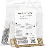 Pindex Messing-Pins kurz mit Hülsen 10mm (Coltene Whaledent)