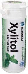 Xylitol Chewing Gum Dose Spearmint (Hager & Werken)